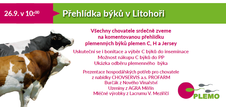 Pehldka bk v Litohoi